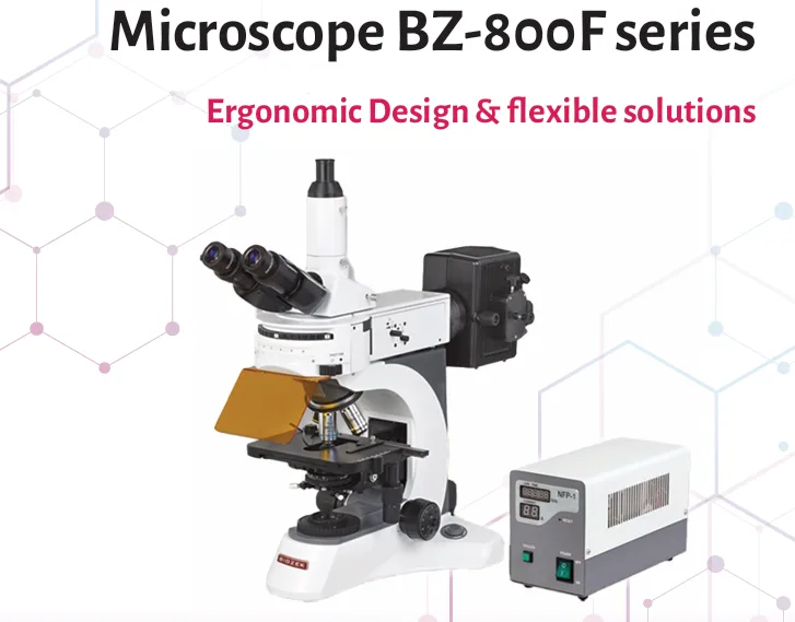 BZ-800F