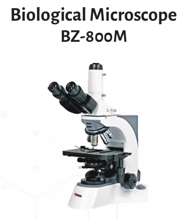 BZ-800M